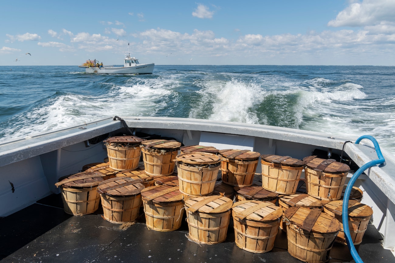 Wooden bushel baskets full of blue crabs on the deck of a workboat on the Chesapeake Bay, with another crabbing boat in the distance