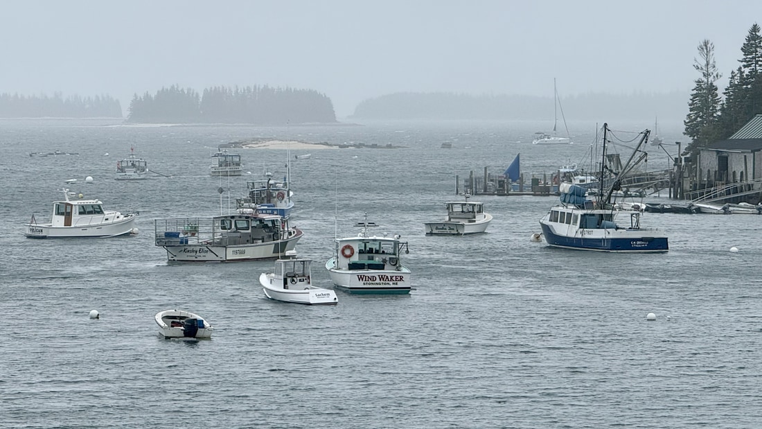 Lobster boats moored in the misty harbor at Stonington, Maine