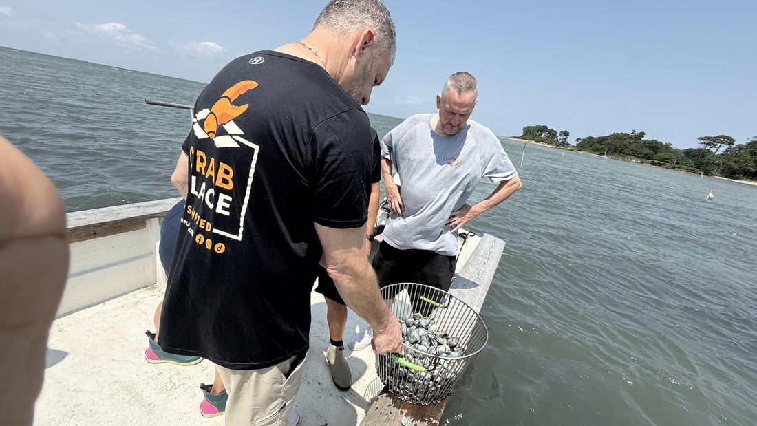 Crab Place team members lifting a wire basket of freshly harvested Chesapeake Bay clams onto the boat