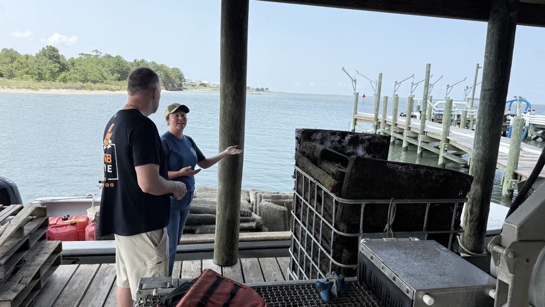Grow-out cages and gear stacked on the dock at a Chesapeake Bay shellfish farm in Cape Charles, Virginia
