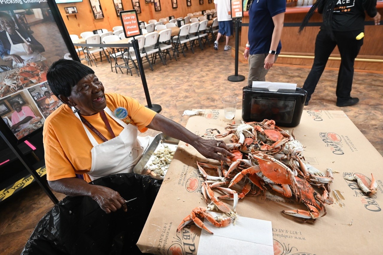 Hurricane Hazel demonstrating crab picking at a Crab and Cruise event