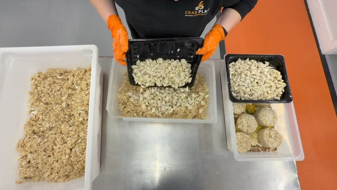 Gloved hands tipping a container of whole jumbo lump crab meat into a tub of crab cake mixture, with a tray of formed crab cakes beside it.