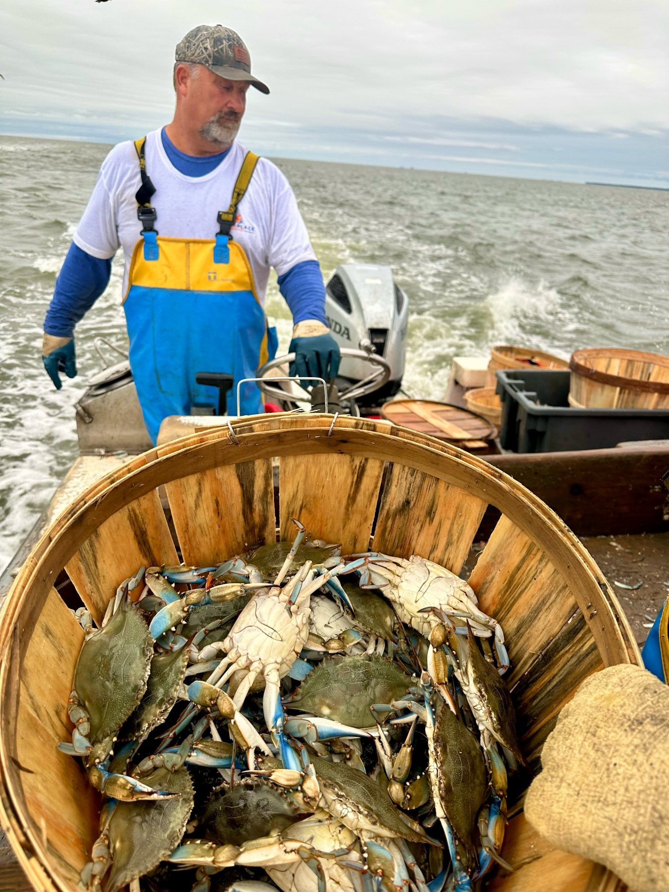 Moose Labo at the wheel in waders behind a wooden bushel basket full of live blue crabs.